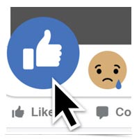 Facebook thumbs up and sad emoticon image.