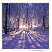 Image of winter scence