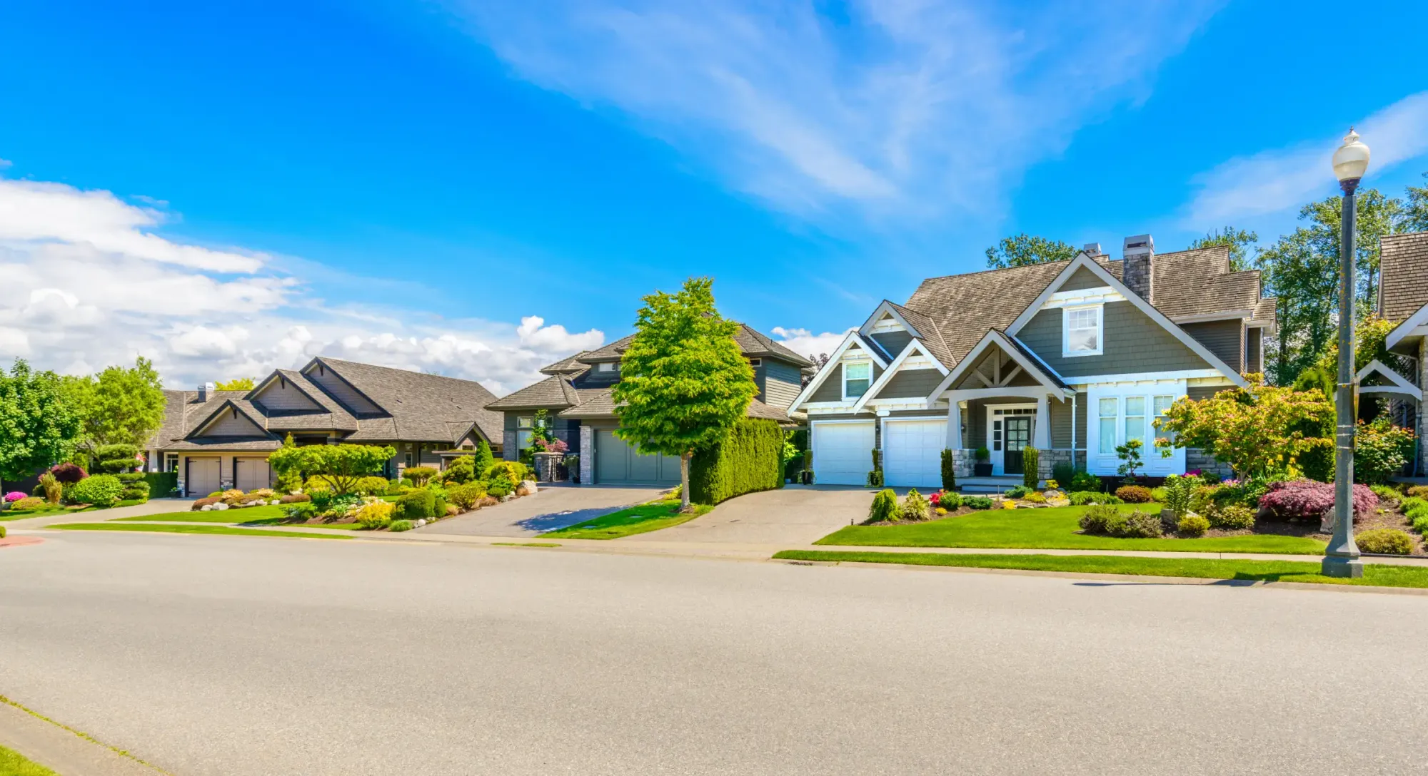 Real estate farming ideas